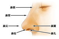 自體軟骨隆鼻多久可以恢復(fù)