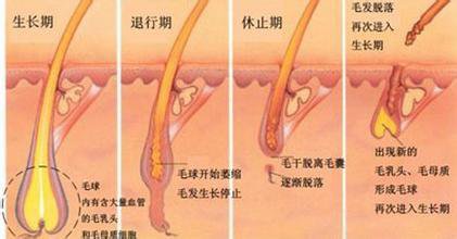 冰點(diǎn)脫毛效果可以保持多久?